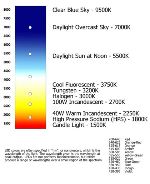 Kelvin Scale - Vivid Leds